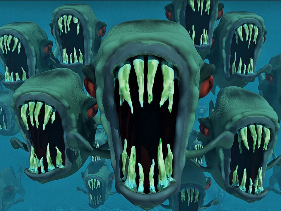 piranhas