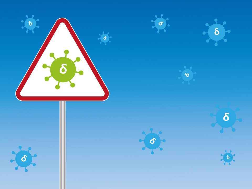 virus-6497345